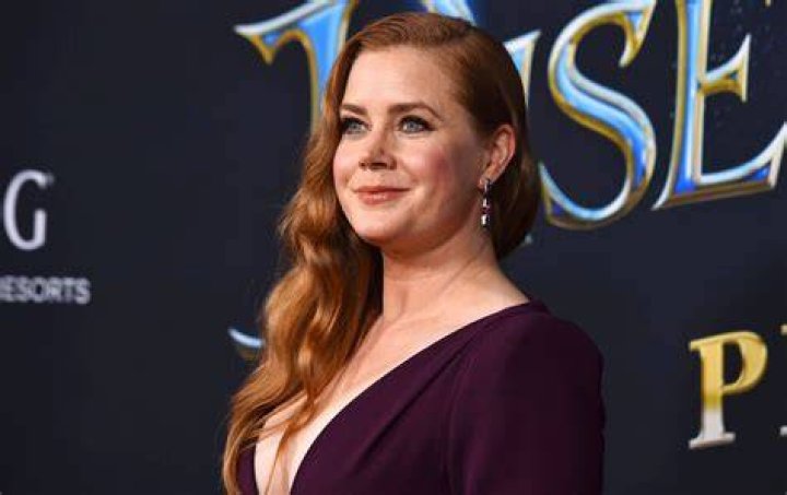 Amy Adams' Husband shared a picture on 9th November 2018 via Instagram