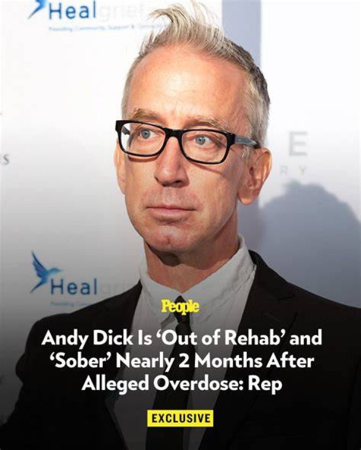 Andy Dick went to Rehab more than 20 times