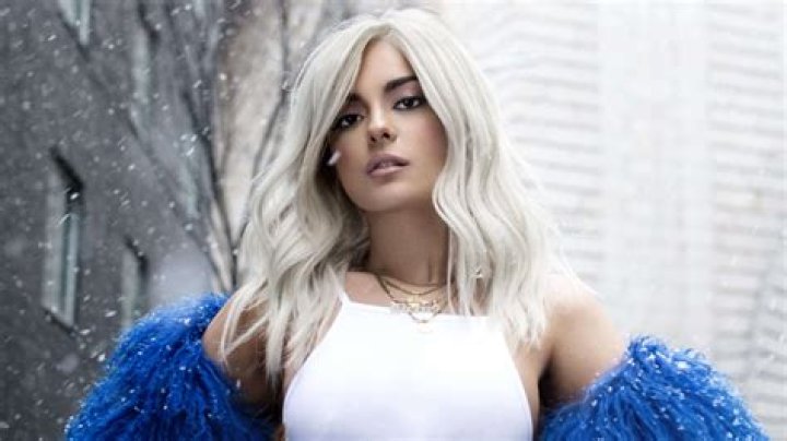 Why did BeBe Rexha Revealed and Keyan Safyari Break Up? Bebe Rexha