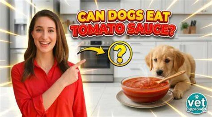 Can dogs eat plain tomato sauce?