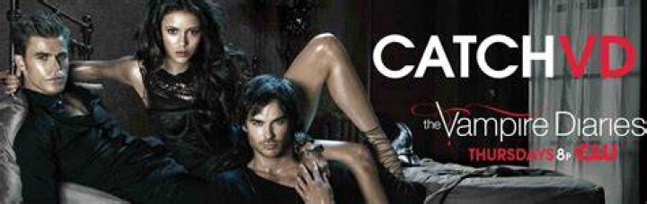 catchvd catchvd