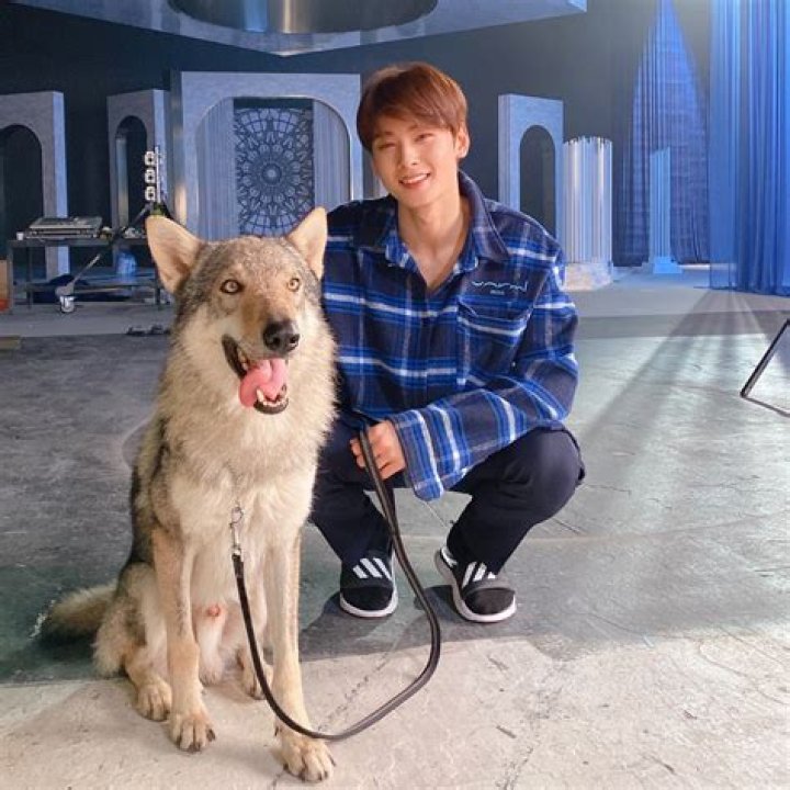 Cha Eun-woo Pets
