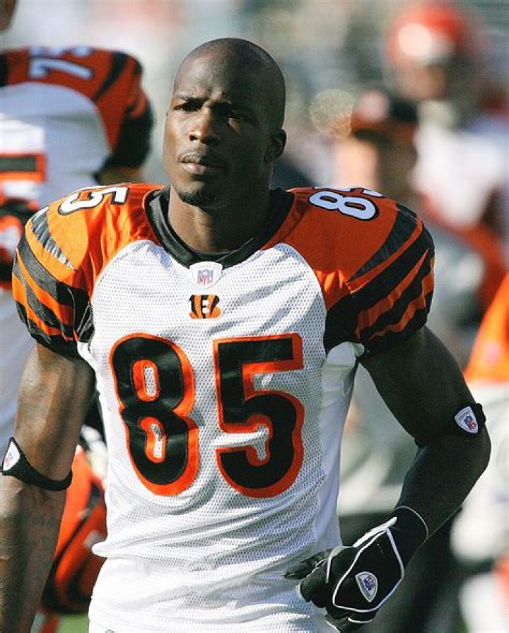 Chad Johnson photo