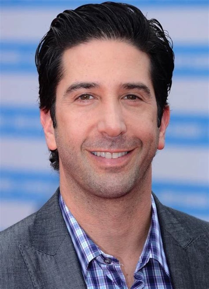 David Schwimmer Bio (Wiki) 