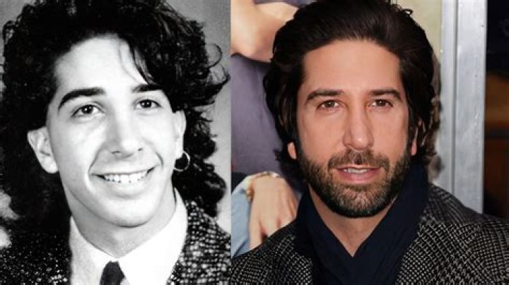 David Schwimmer with his former wief Zoe Buckman. wife, aprtner, spouse