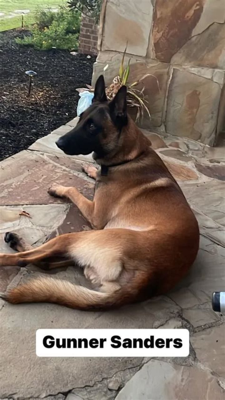 Deion Sanders Pets