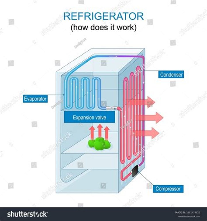 Do fridges have internal fuses?