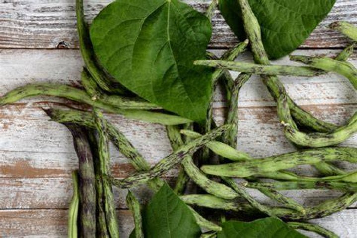 Do you prune pole beans?