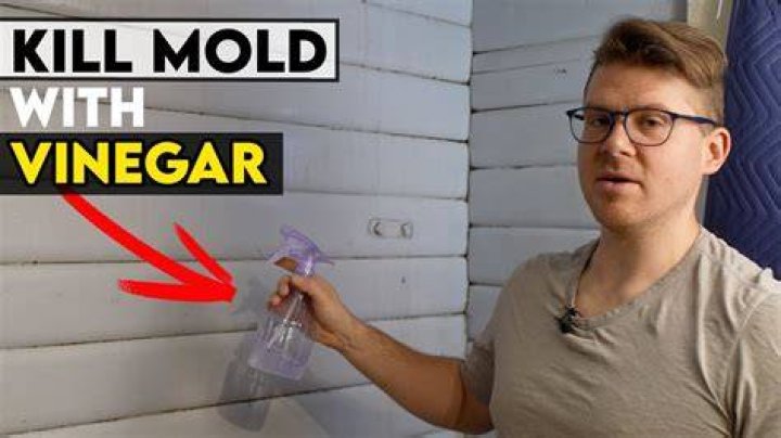 Does affresh remove mold?