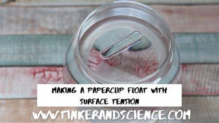 Does the shape of the paperclip affect its floating ability?