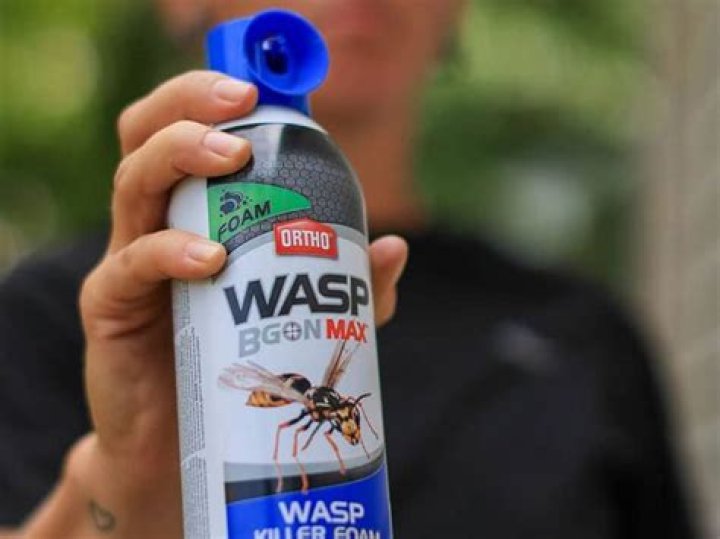 Does wasp spray cause blindness?