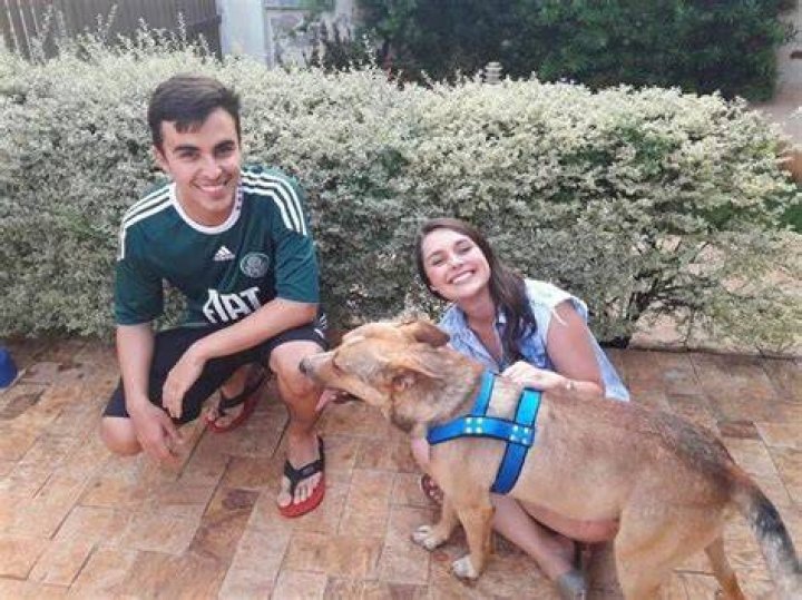 dog crashes wedding Sao Paulo 