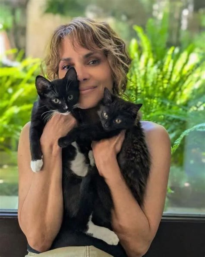 Halle Berry Pets