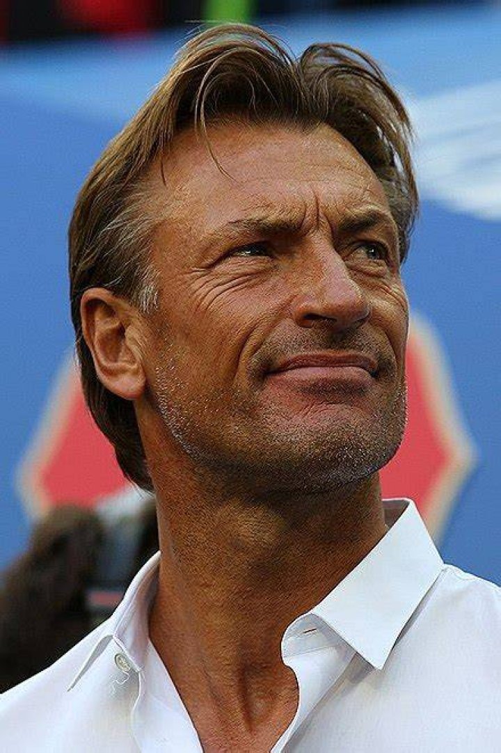 Herve Renard Bio (Wiki) 