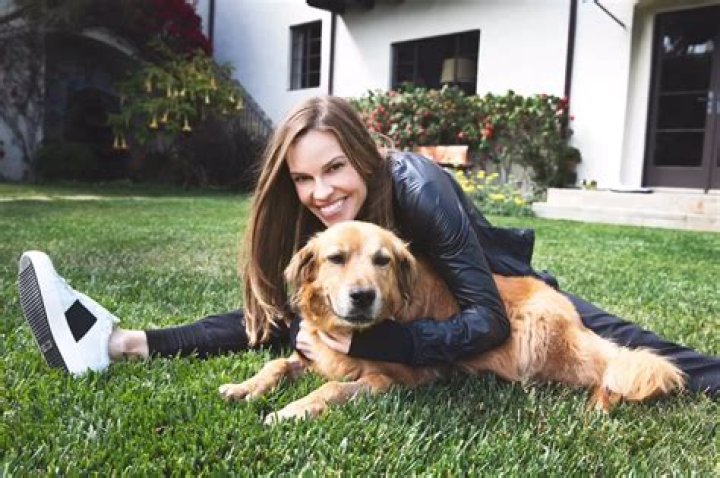 Hilary Swank Pets
