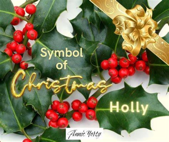 Holly as a Symbol of Christmas