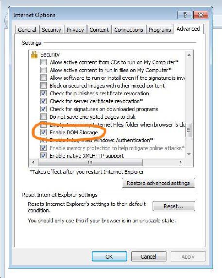 How do I enable DOM storage in Internet Explorer?
