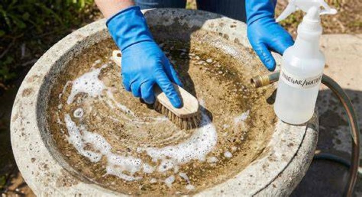 How do you remove paint from a concrete bird bath?