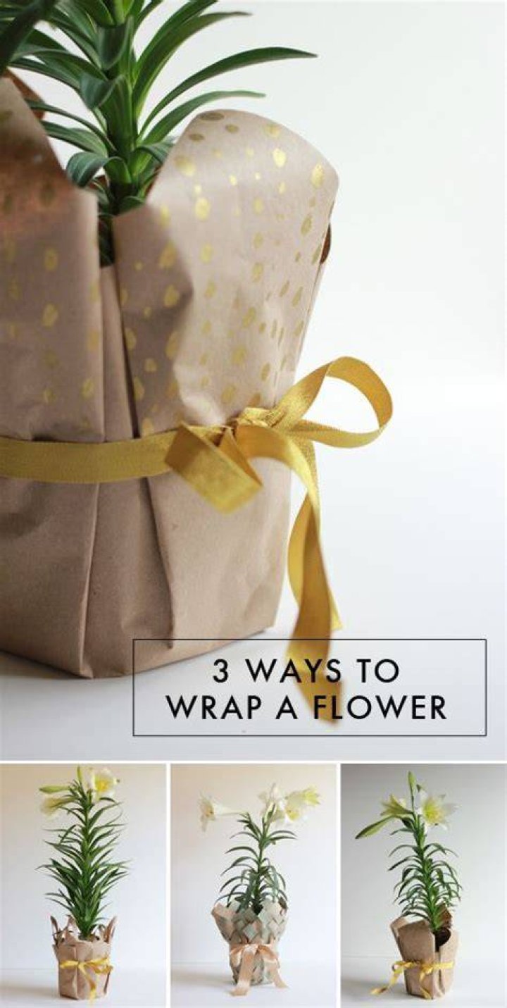 How do you wrap plant pots?