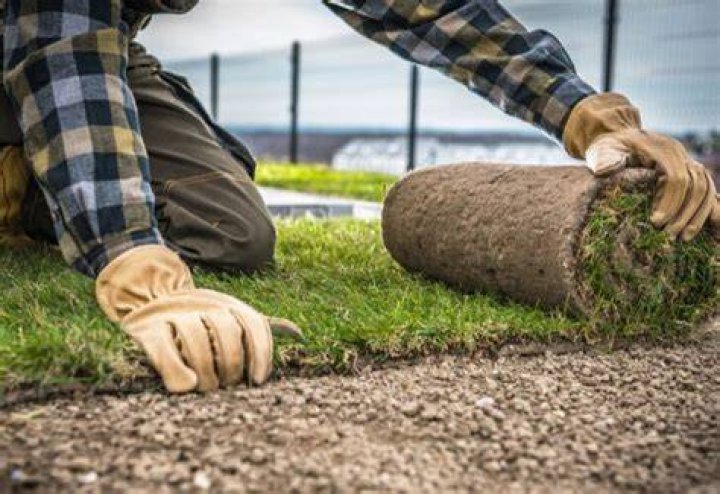 How much does it cost to replace grass with gravel?
