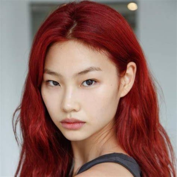 HoYeon Jung Bio (Wiki) 