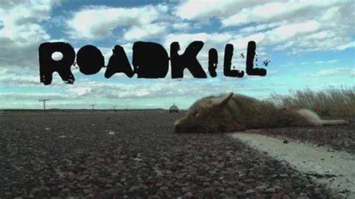 Is David Freiburger From Roadkill Dead? What We Know About The Ongoing Rumor