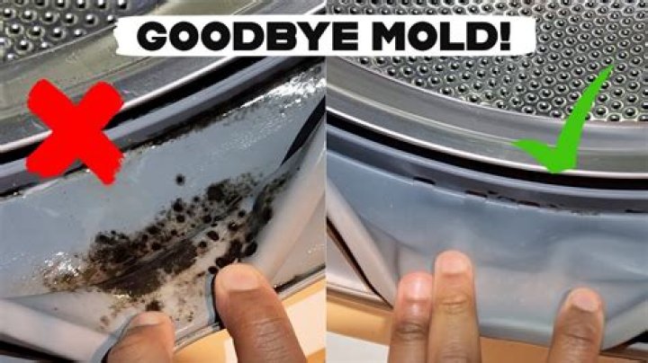 Is mold in the washing machine dangerous?