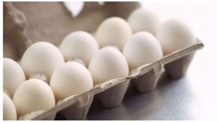 Is the tree that grows eggs real? Vegan eggs theory debunked