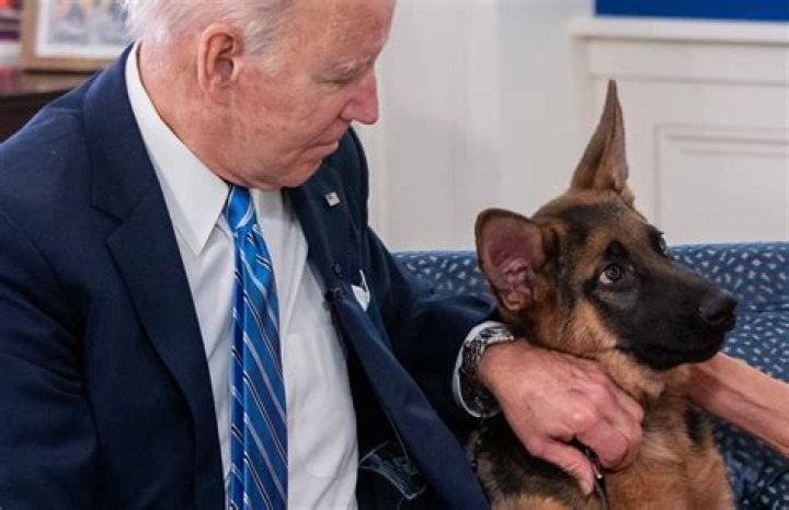 Joe Biden and his dog Commander walking