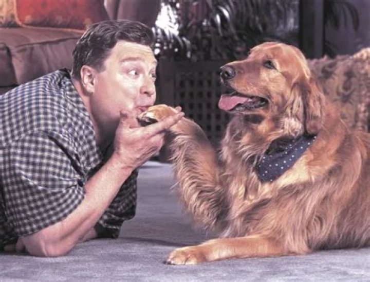John Goodman Pets