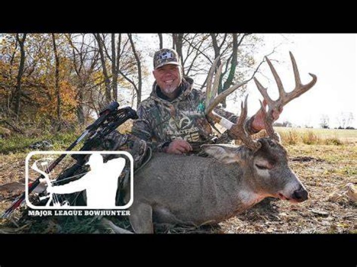 Jones on a hunting