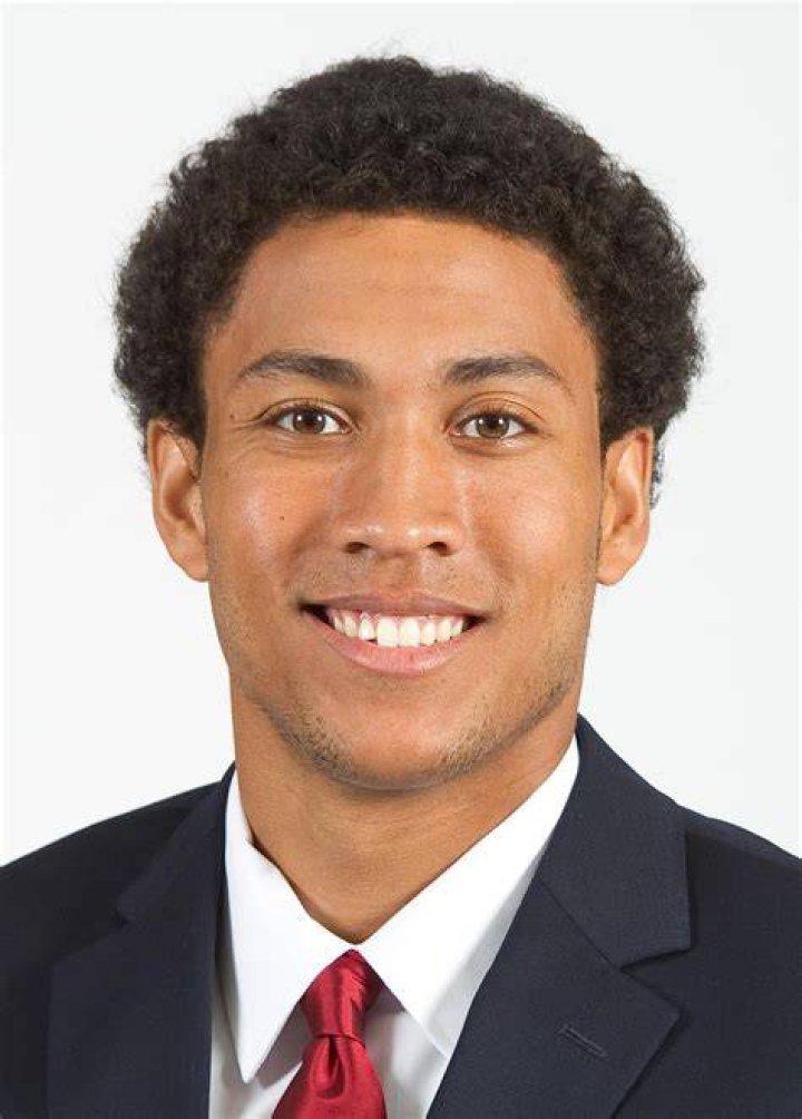 Josh Huestis Bio (Wiki) 
