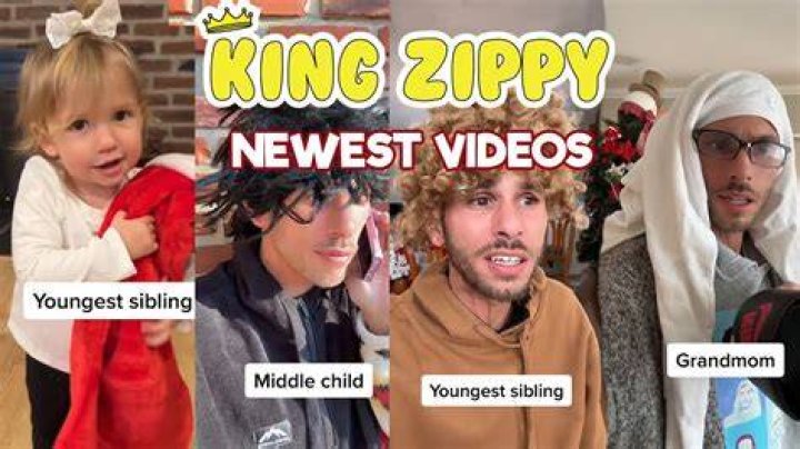 kingzippy - Age, Family, Bio