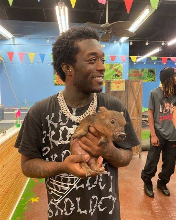 Lil Uzi Vert Pets