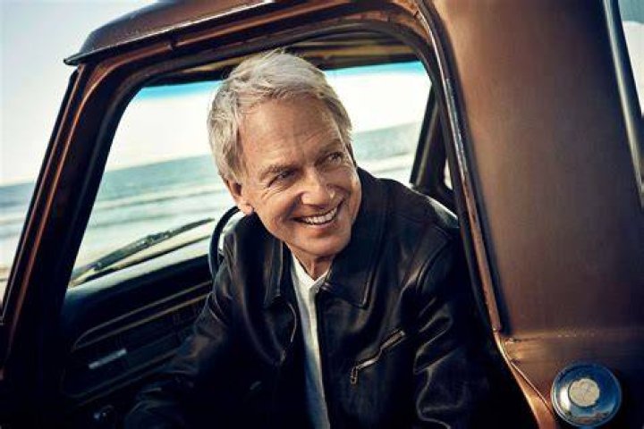 Mark Harmon photo 3