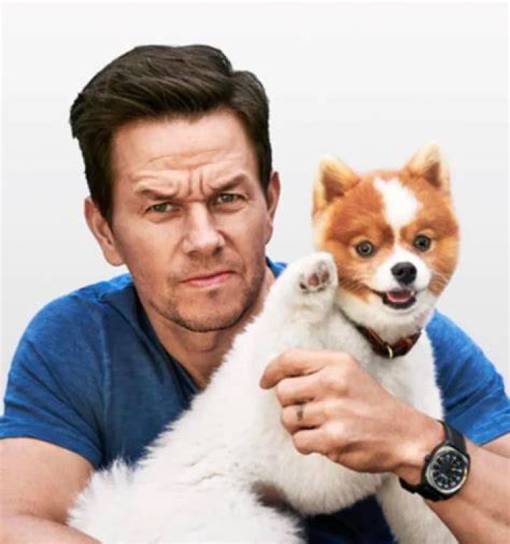 Mark Wahlberg Pets