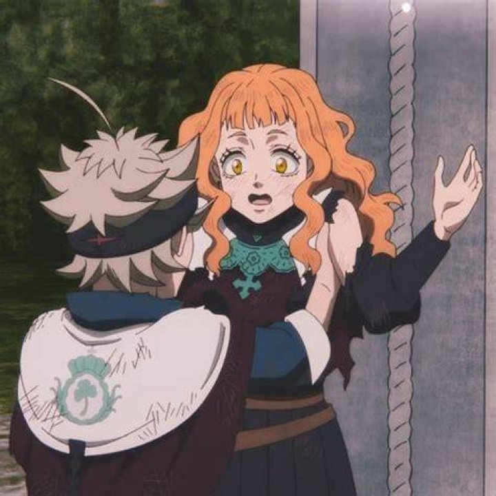 Mimosa Vermillion- Black Clover Mimosa Vermillion and Asta