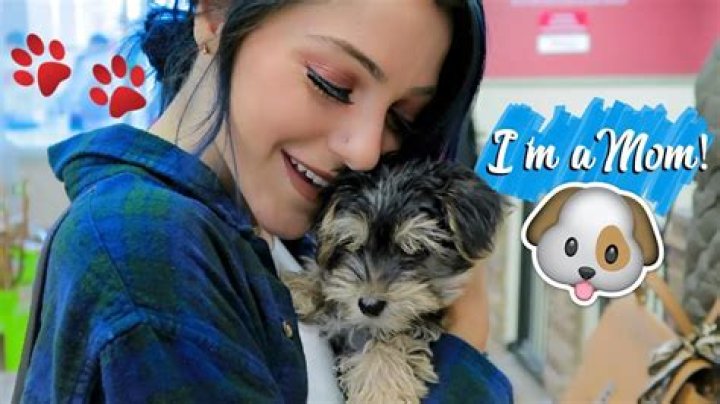 Niki DeMar Pets