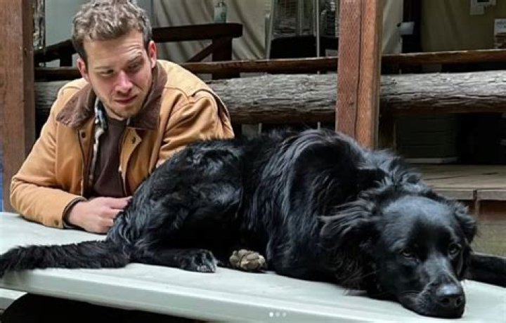 Oliver Stark Pets
