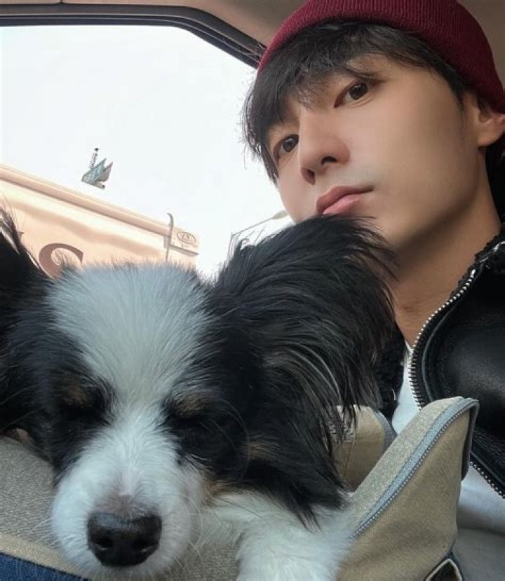 Roy Kim Missing
