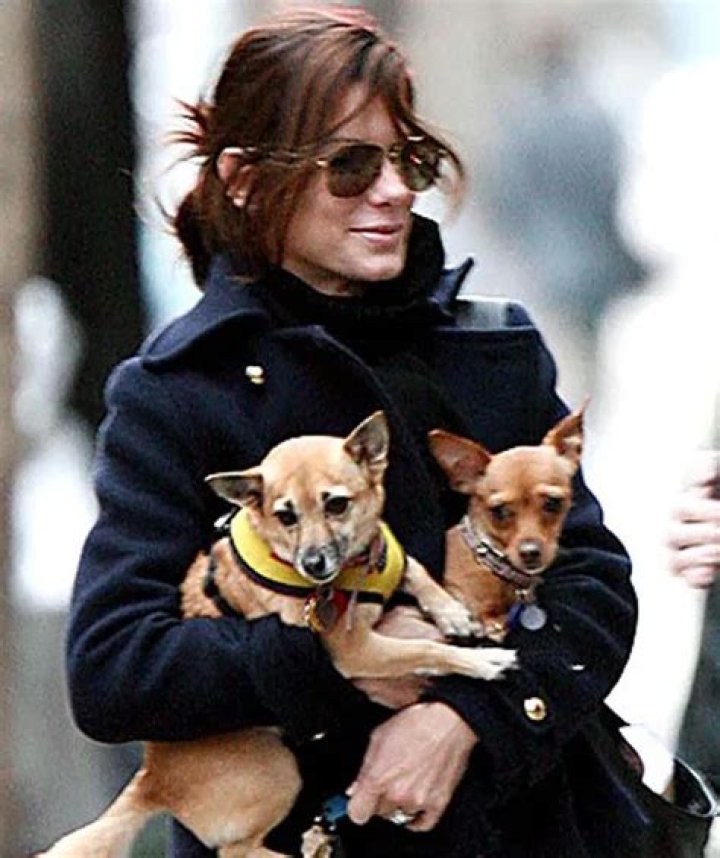 Sandra Bullock Pets