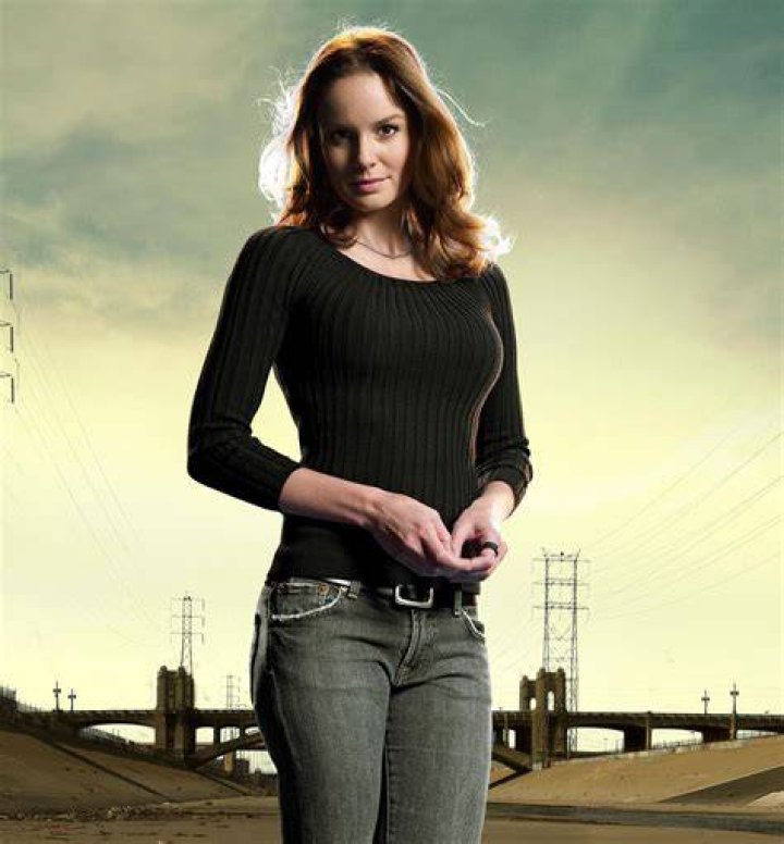 Sarah Wayne Callies Highlights