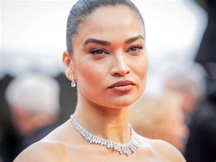 Shanina Shaik Bio (Wiki) 
