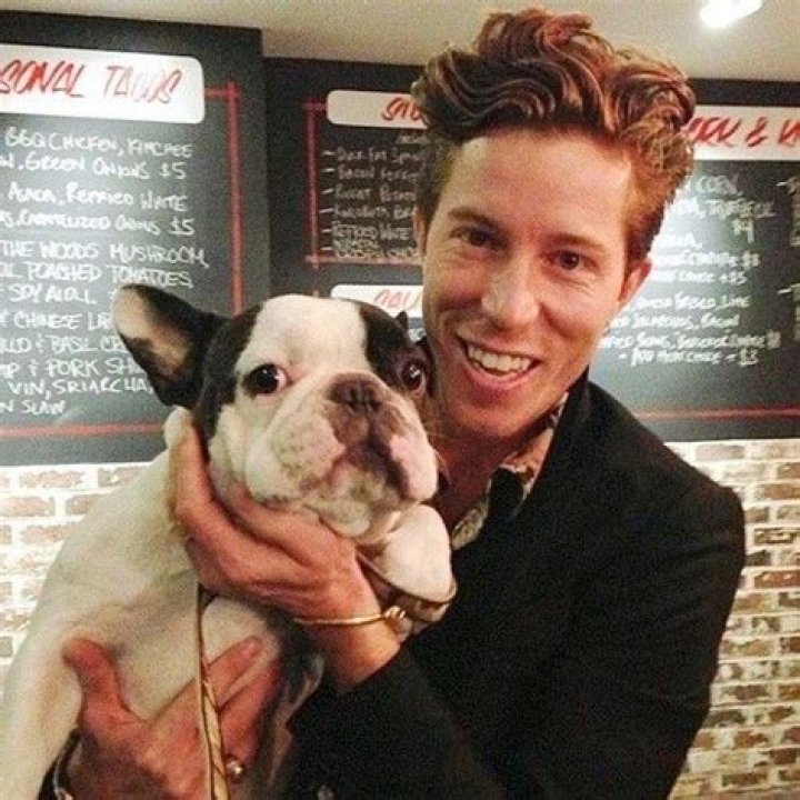 Shaun White Pets