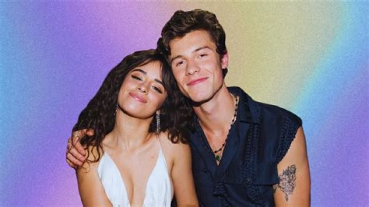 Shawn Mendes and Camila Cabello
