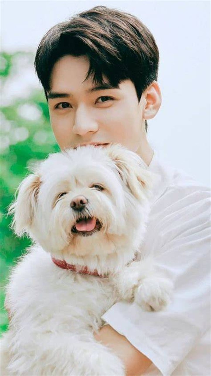 Simon Gong Pets