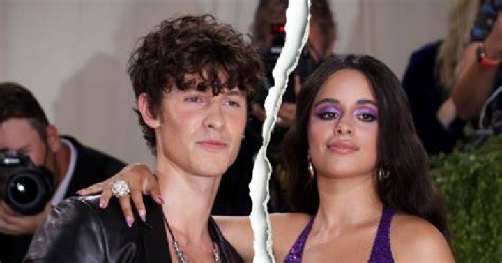 Split! Shawn Mendes and Camila Cabello bid goodbye to one another!