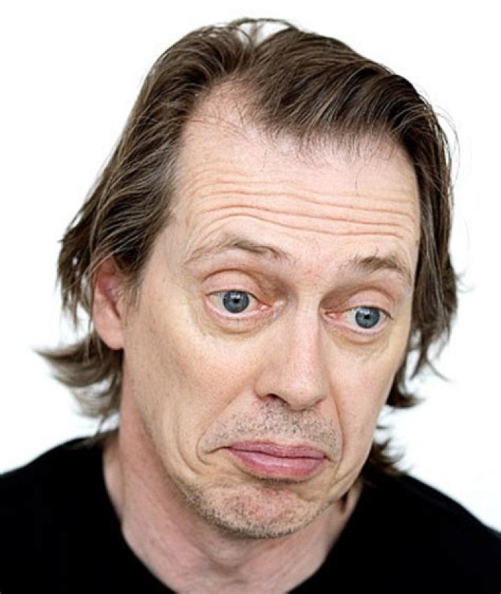 Steve Buscemi's pet No Pets (Steve Buscemi)