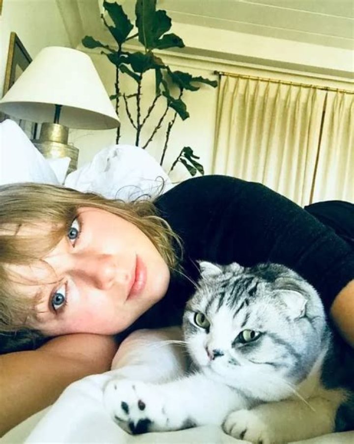 Taylor Swift’s Elusive Cat Meredith Grey Makes Rare Appearance With Ed Sheeran