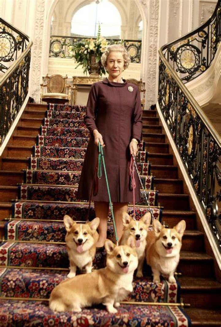 The Queen corgi